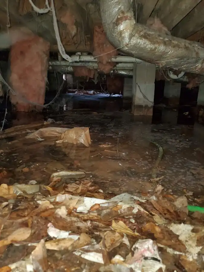Crawl space flood assessment for Leak Detection & Repair in Brunswick