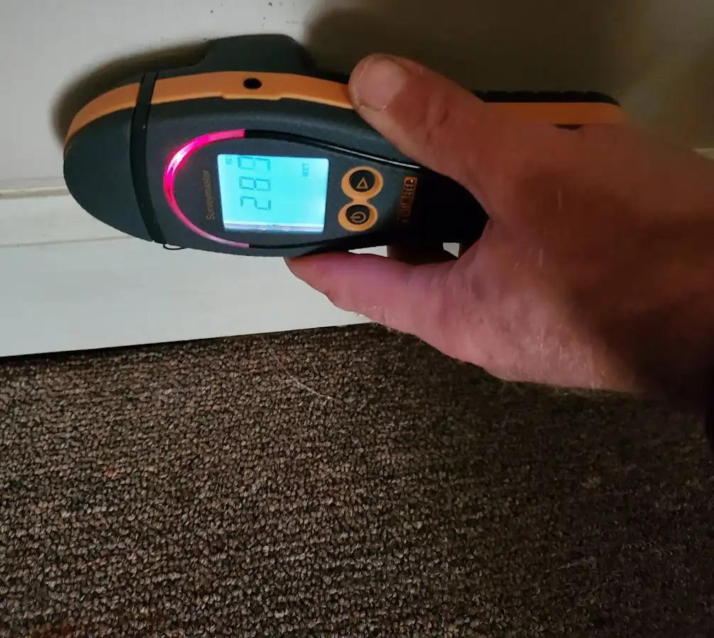 Moisture detection at baseboard during Mold Inspection & Testing in Brunswick